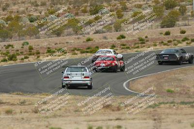 media/May-03-2025-Lucky Dog Racing (Sat) [[206de64b9d]]/Turn 2 (1020am-1120am)/